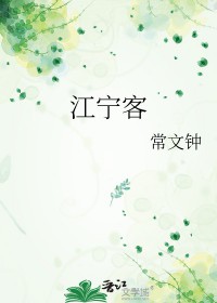 江宁客运站到金宝市场