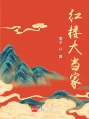 红楼大当家文/潭子